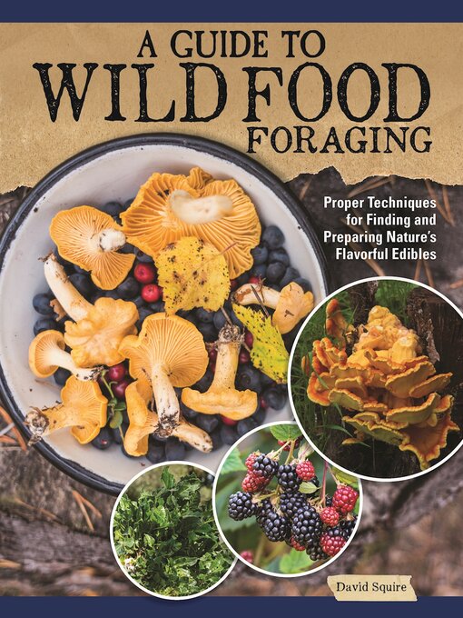 Title details for A Guide to Wild Food Foraging by David Squire - Available